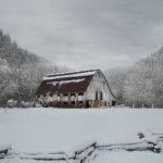 2019欧美hd免费 wdsx7