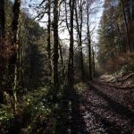 如何在iOS设备上安全下载黄油应用的详细指南 lg2s2ug7r1