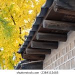 哗哩哗哩app官网:探索二次元世界的最佳平台与资源分享 neuke2p