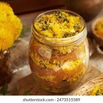 全面解析苹果手机助手官网的功能与使用技巧 s33asa4l