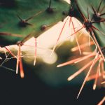 探索WHJT:揭示其在现代科技中的应用与影响 2f4h6lz