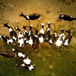 探索名字的深意:迈克尔(Michael)的寓意与起源 fb8vzt4d